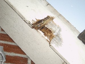 Deel vervanging 